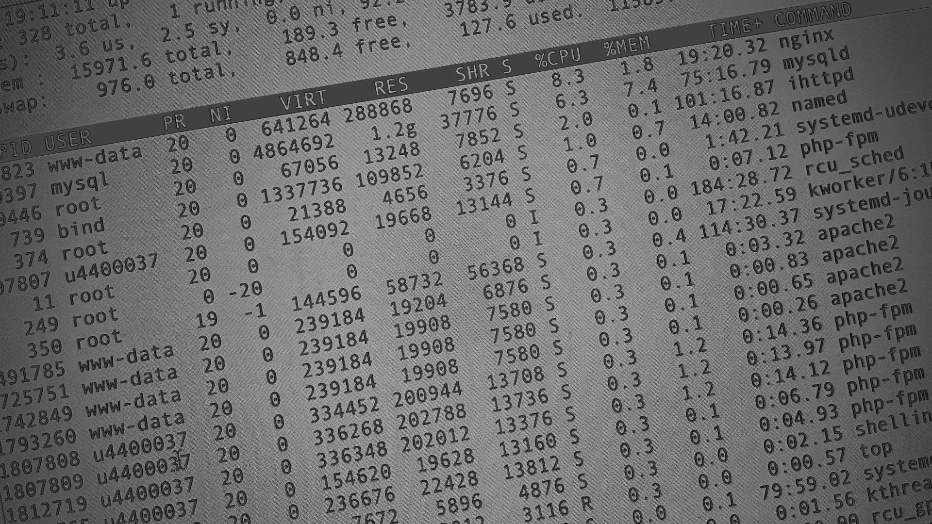 Настройка сервера в Котельниче