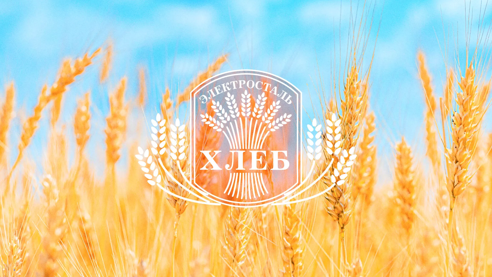 Создание сайта для хлебзавода в Котельниче